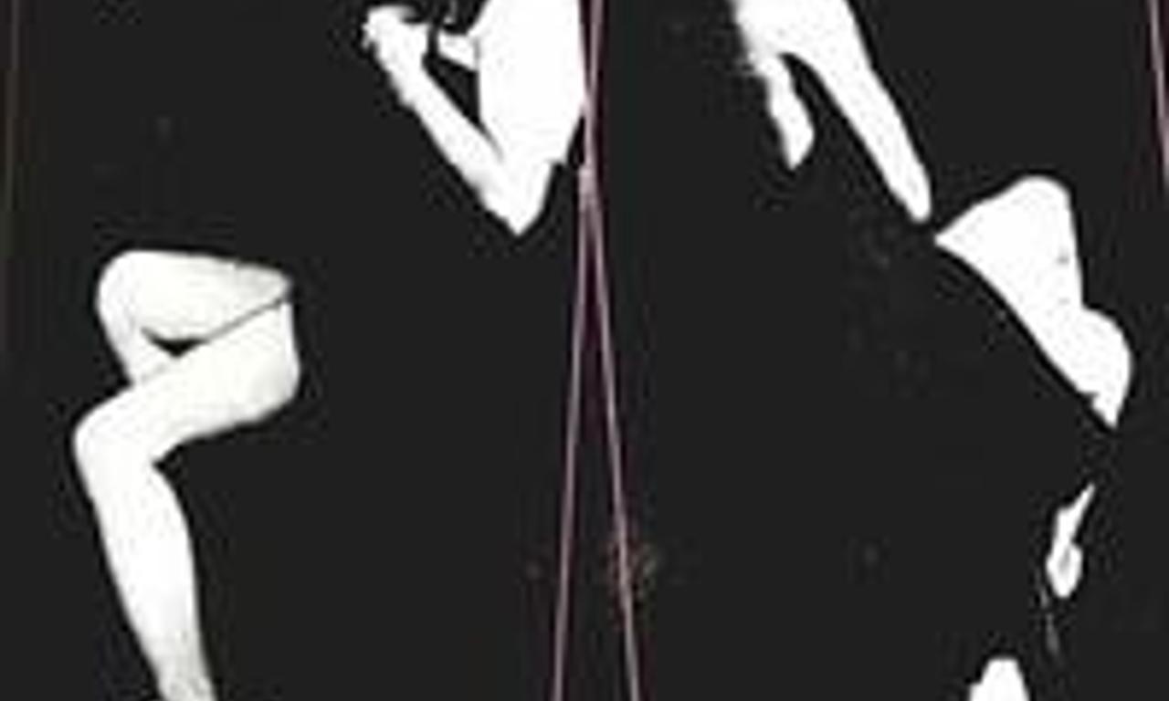 header image for Working Girls