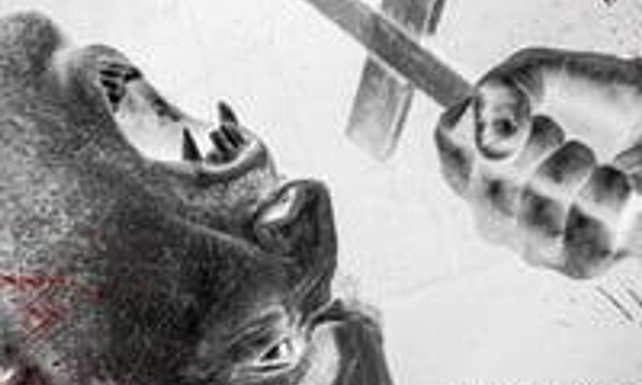 header image for The Amityville Harvest