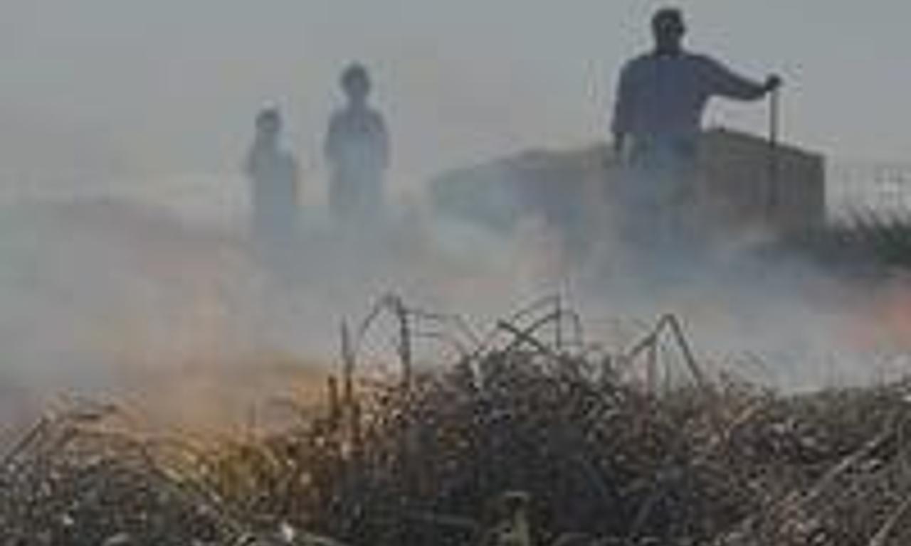 header image for Camagroga