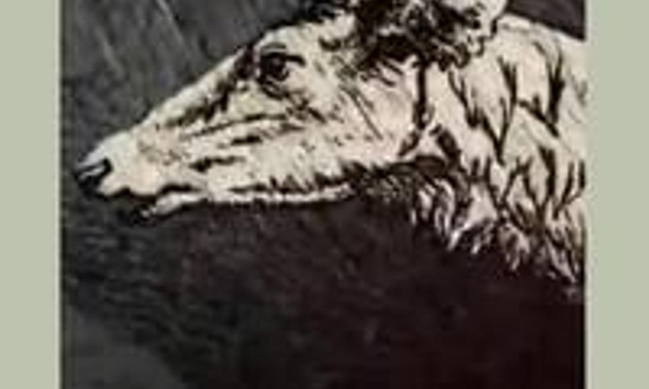 header image for I Was Crying Out at Life. Or For It