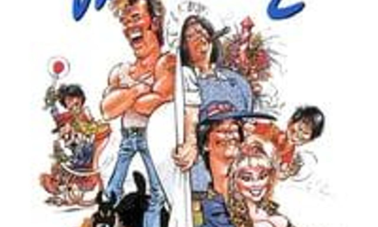 header image for Flodder 3