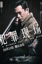 A Witness Out of the Blue