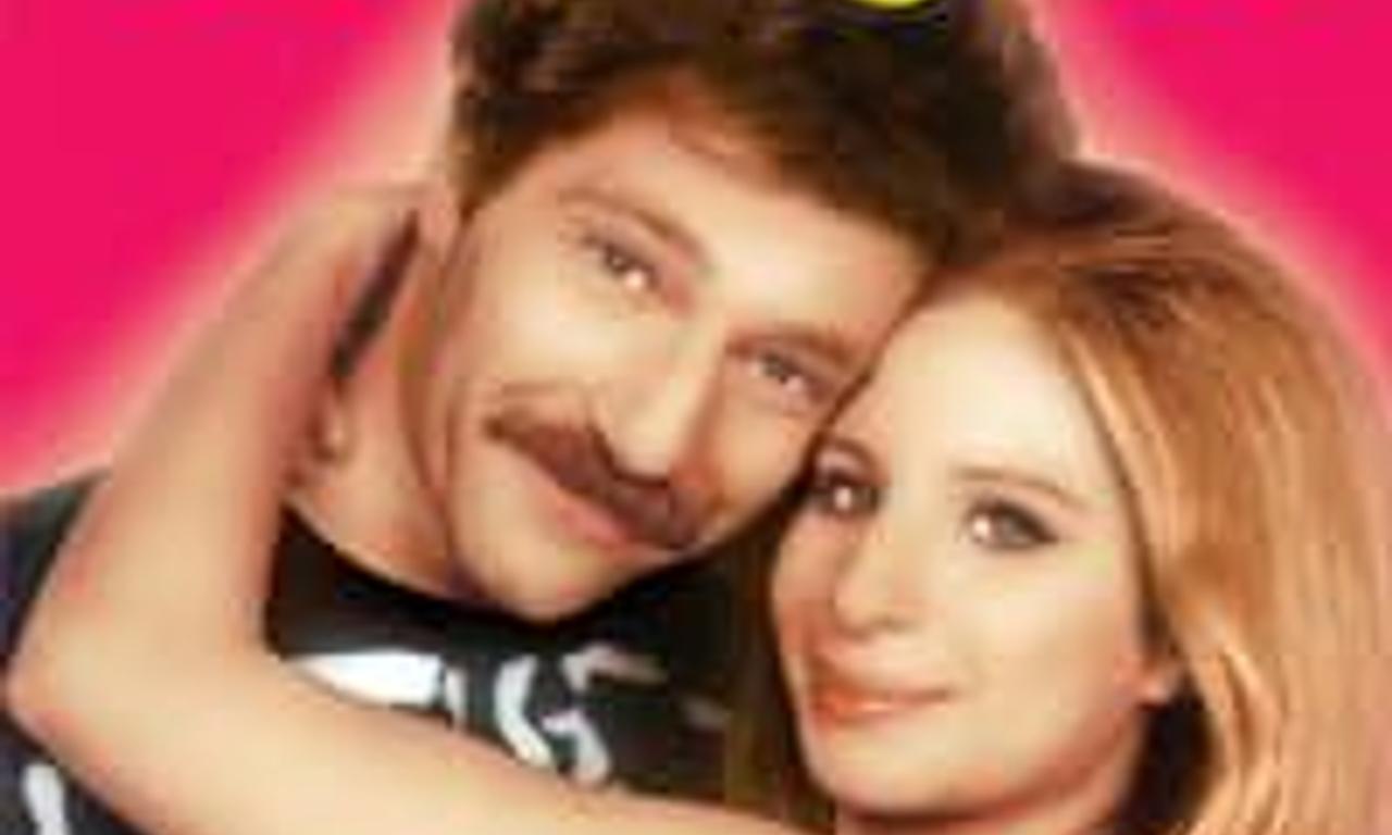 header image for The Owl and the Pussycat