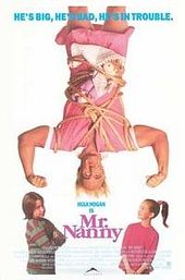 Mr. Nanny