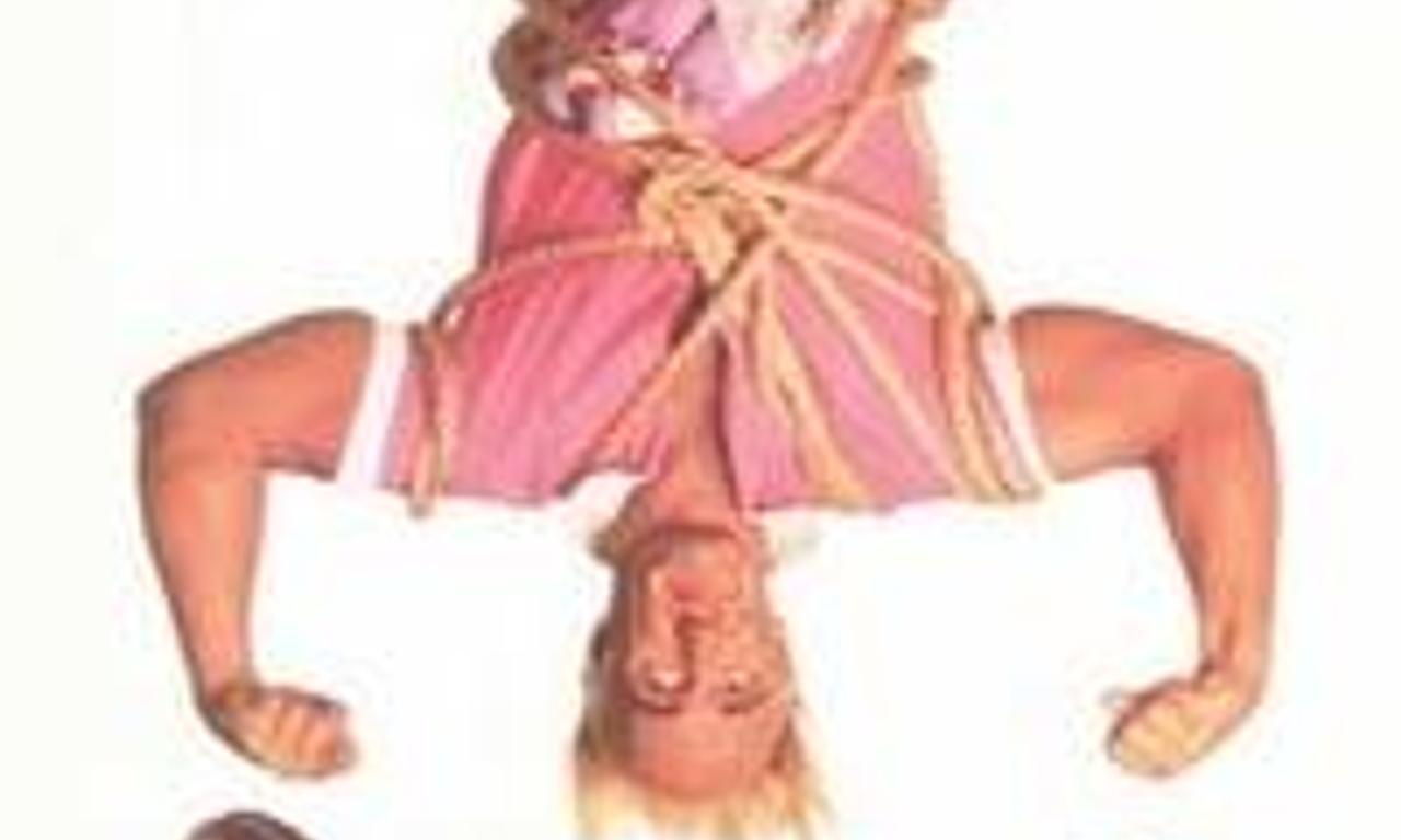 header image for Mr. Nanny