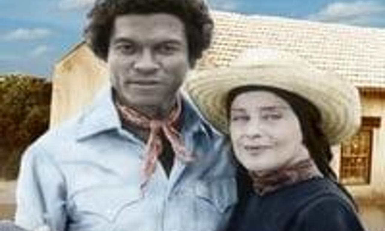 header image for Christmas Lilies of the Field