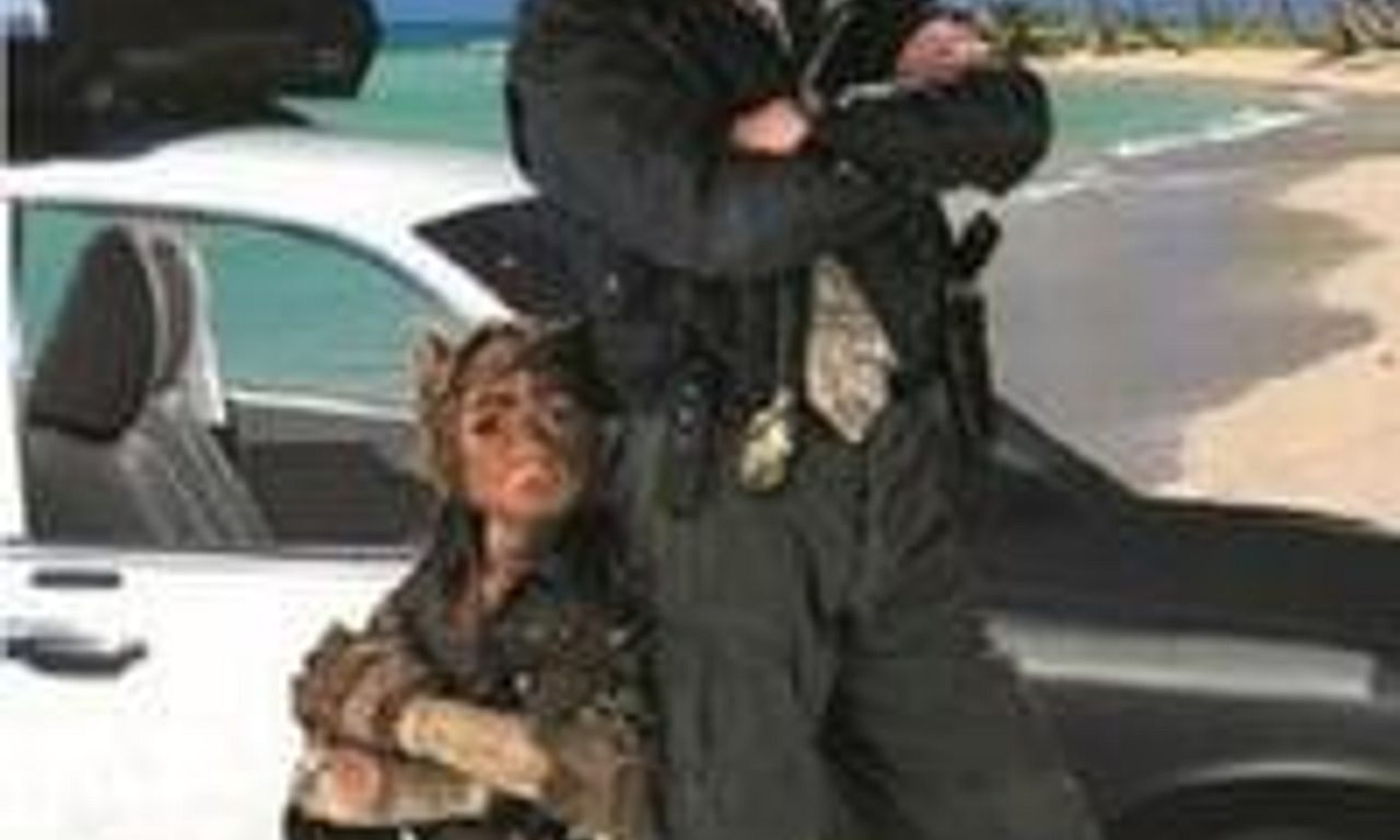 header image for A Gnome Named Gnorm