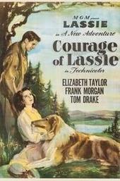 Courage of Lassie