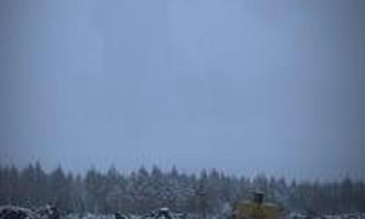 header image for The Disappeared