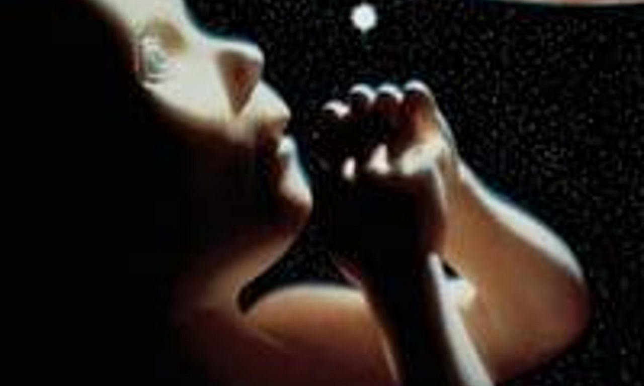 header image for 2010