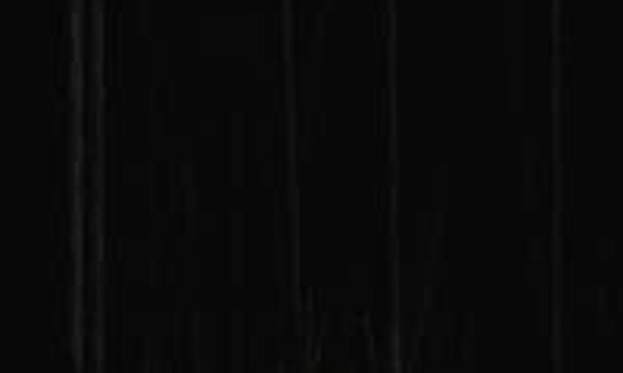 header image for Wolf