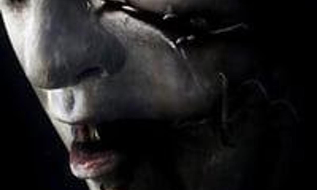 header image for Magi