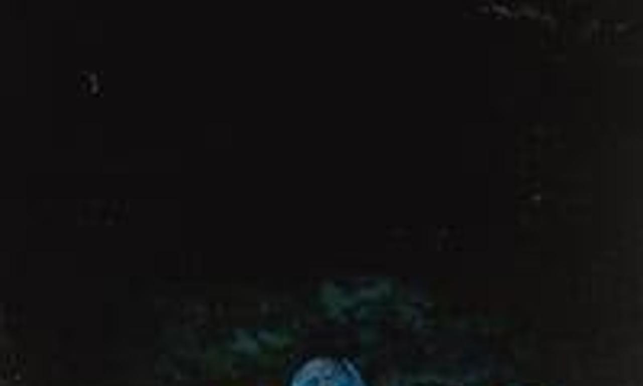 header image for Honeydew