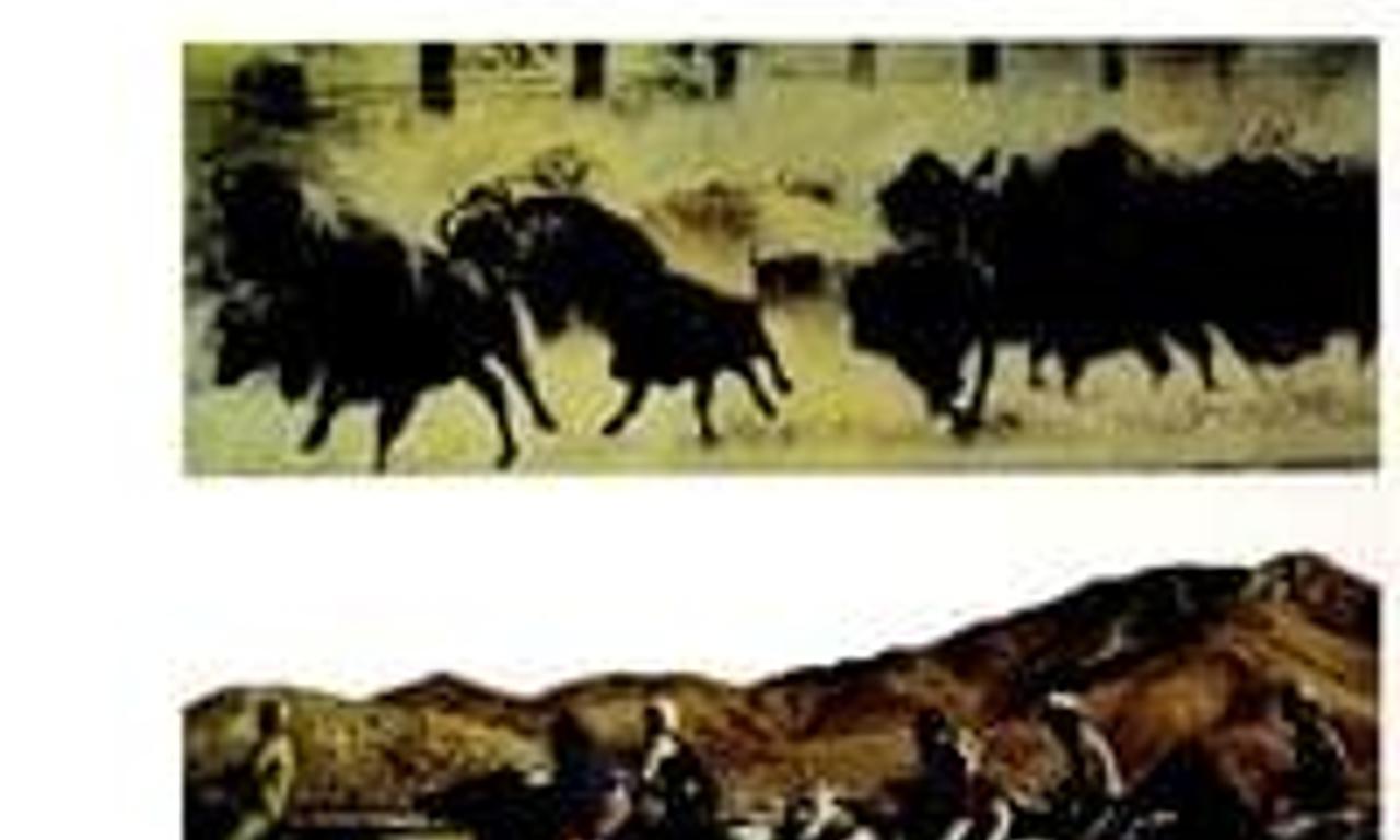 header image for Bless the Beasts & Children