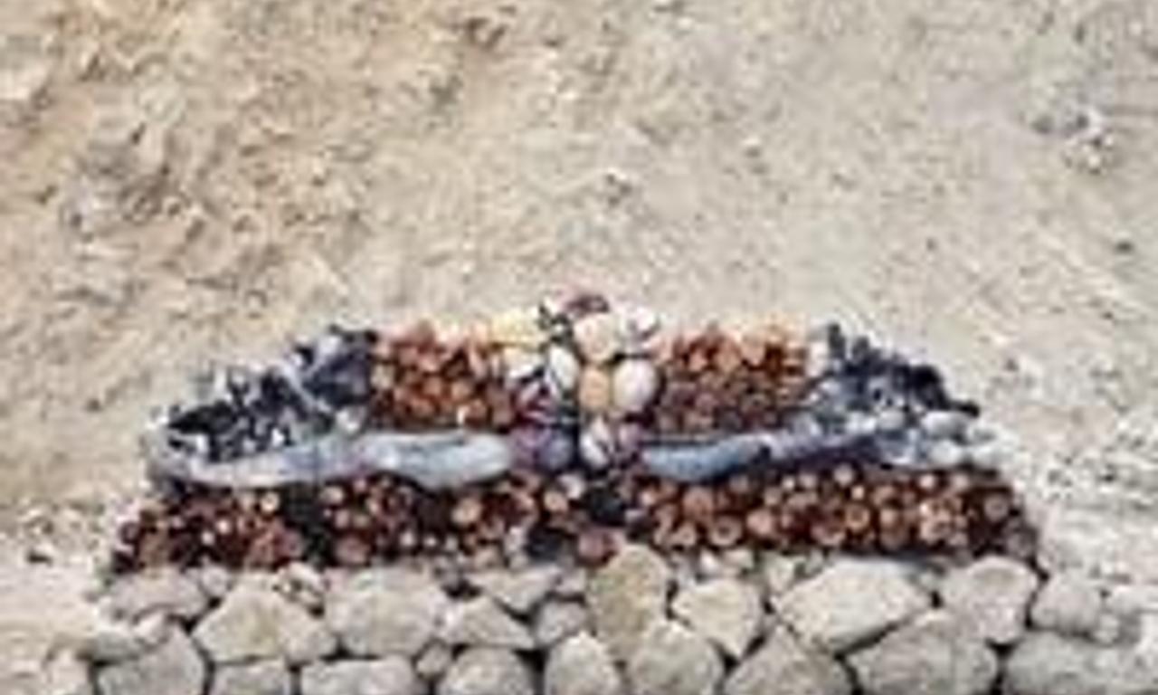 header image for Winter Brothers