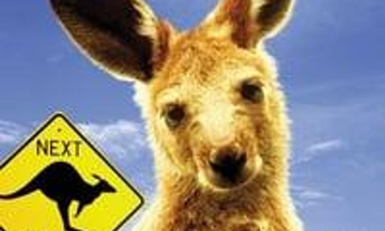 header image for Joey