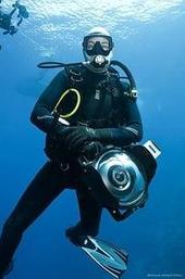 Of Shark And Man