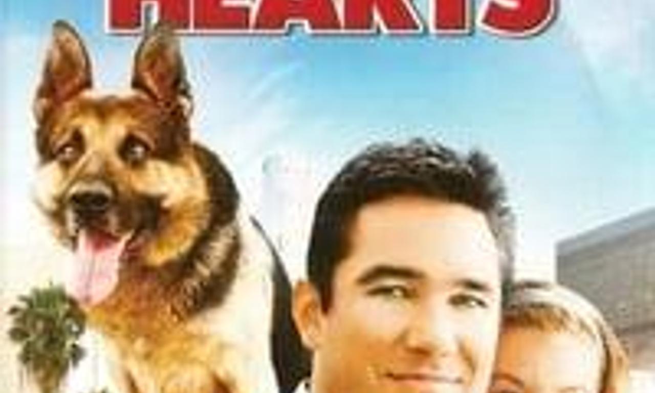 header image for Ace of Hearts