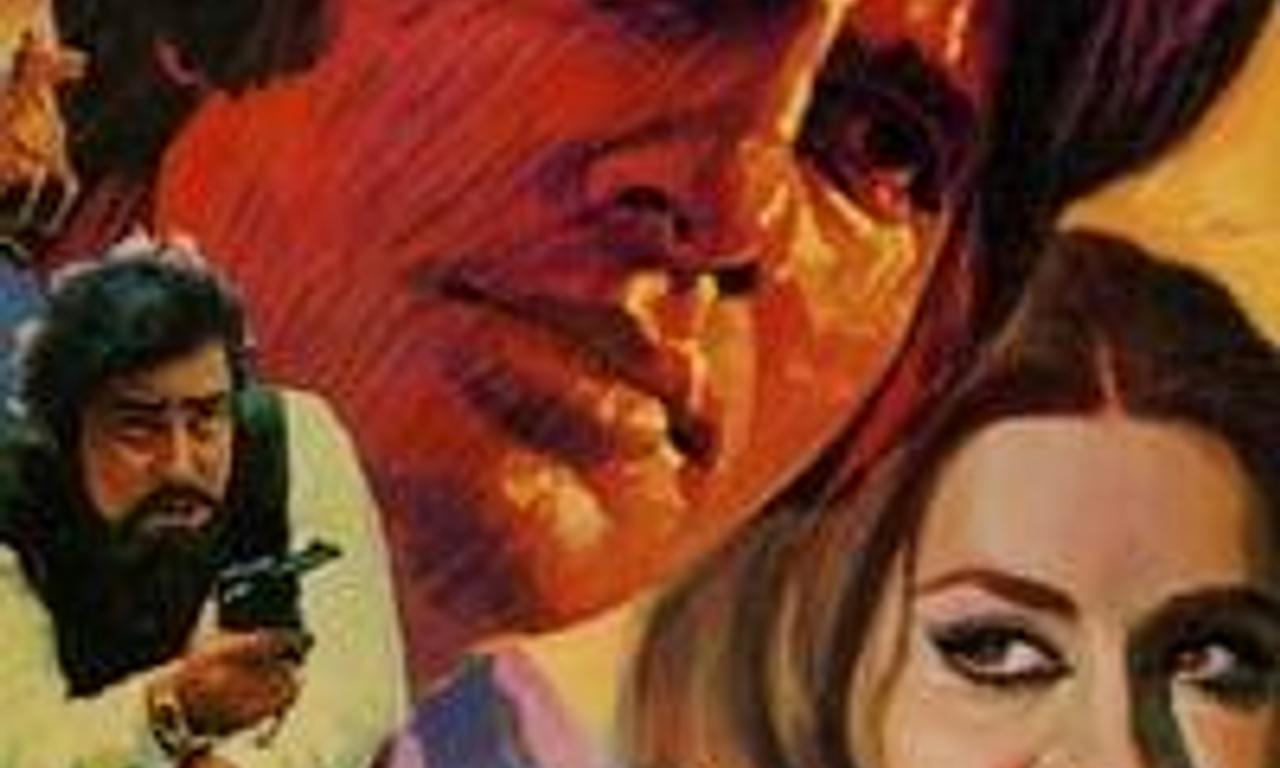 header image for Zameer