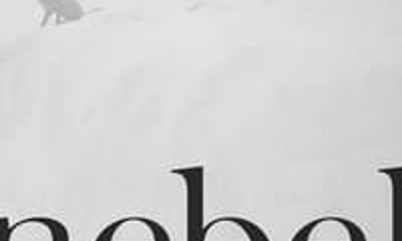 header image for Fog