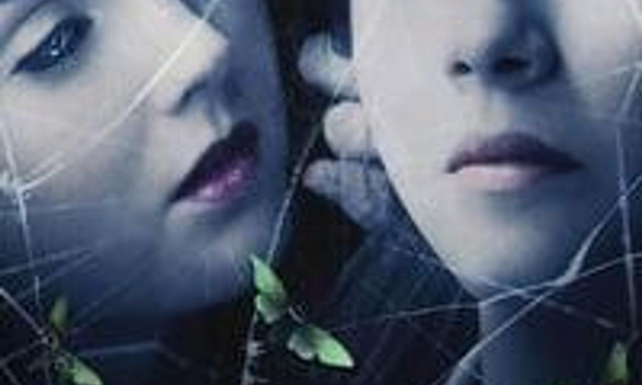 header image for The Moth Diaries