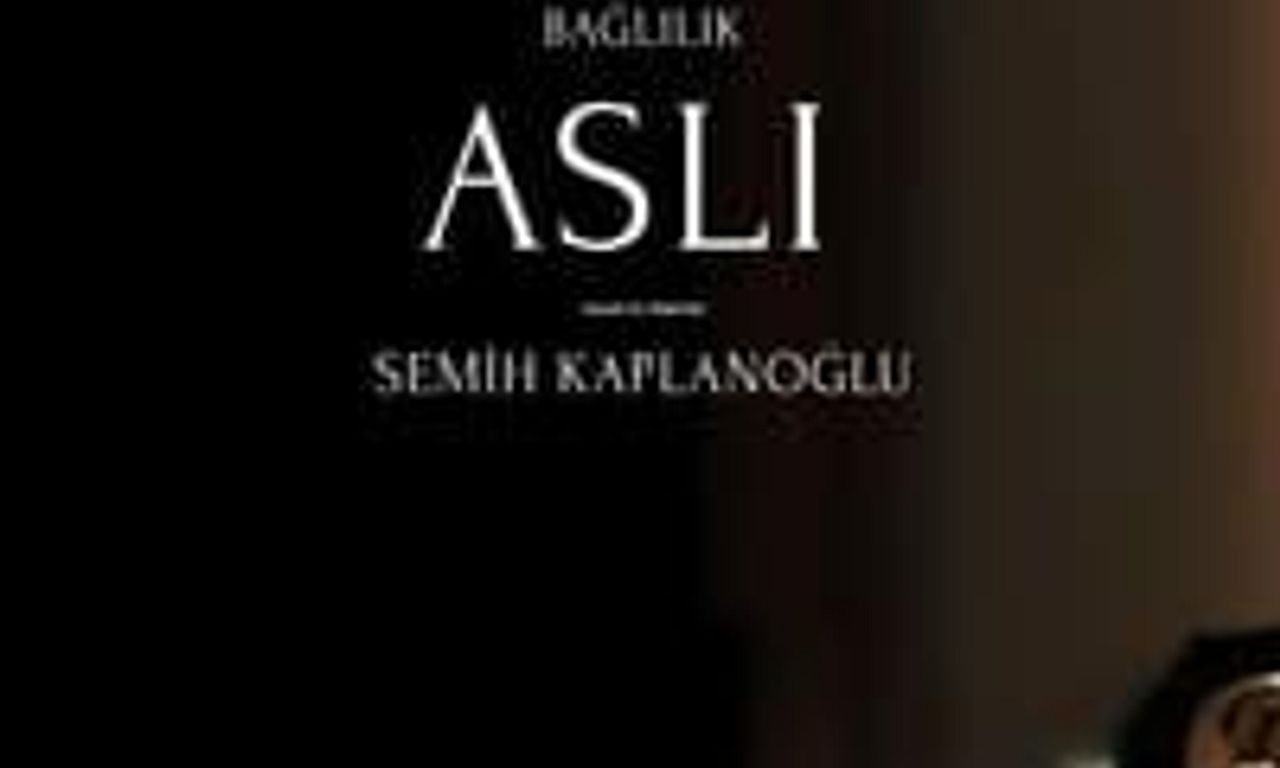 header image for Commitment Aslı