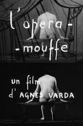 Diary of a Pregnant Woman