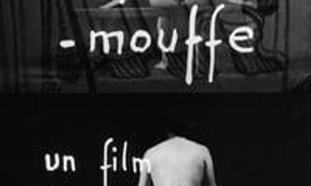 header image for Diary of a Pregnant Woman