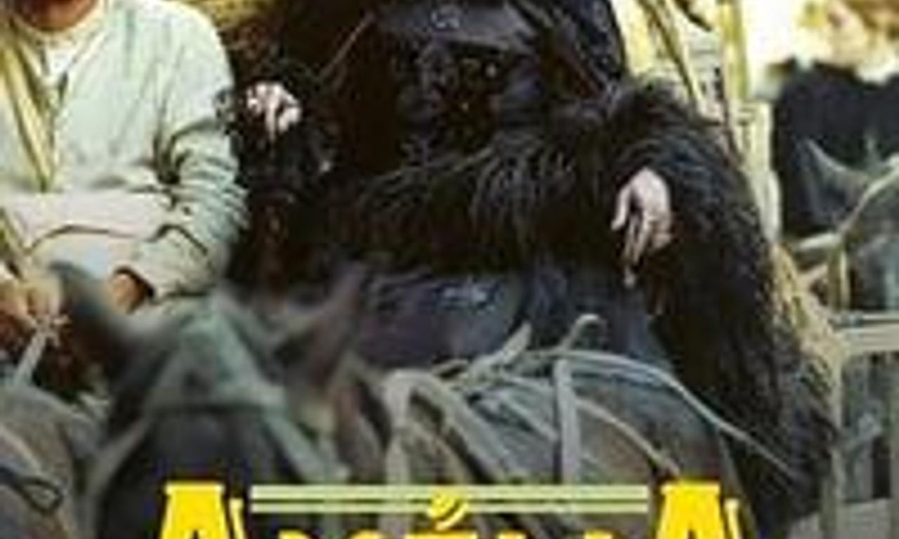 header image for Amélia