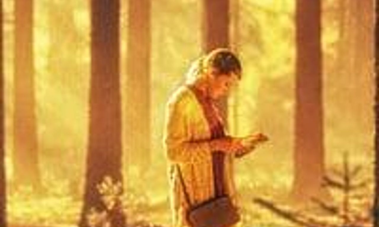 header image for A Journey Through Pines