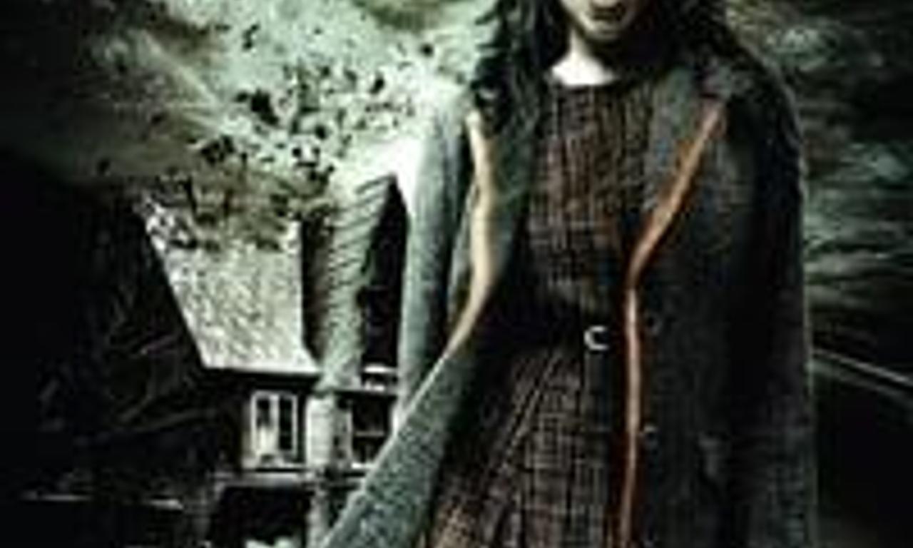 header image for The Occupants