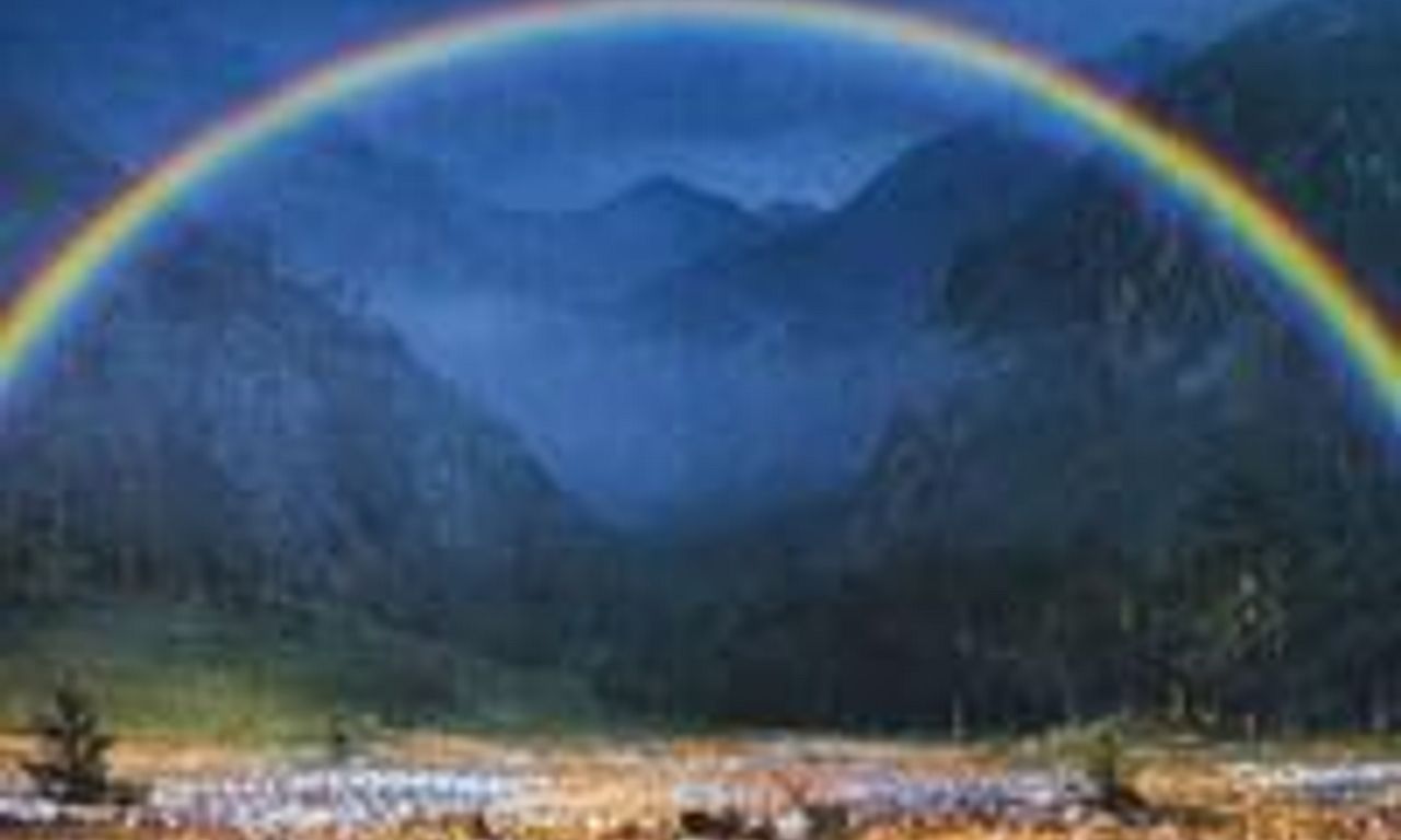 header image for Dreams