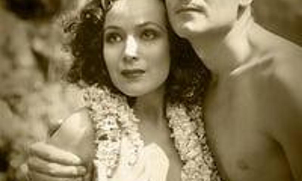 header image for Bird of Paradise