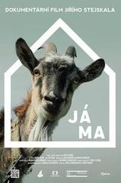 My Home