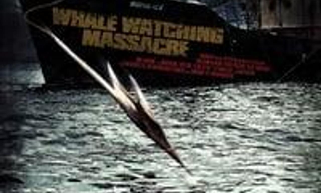 header image for Reykjavik Whale Watching Massacre