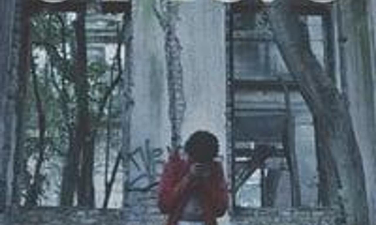 header image for The Orphan