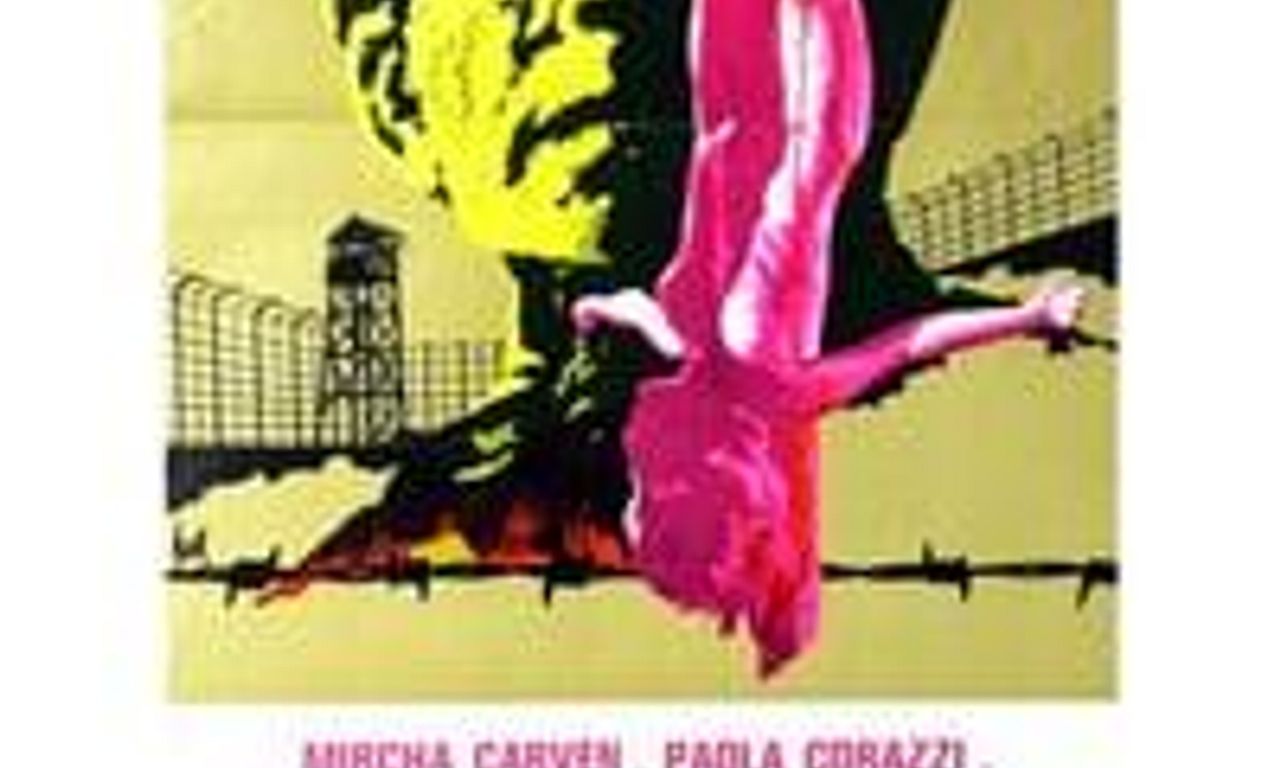 header image for SS Experiment Love Camp