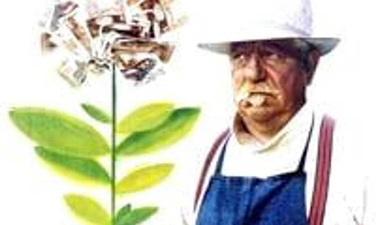 header image for The Gardener of Argenteuil