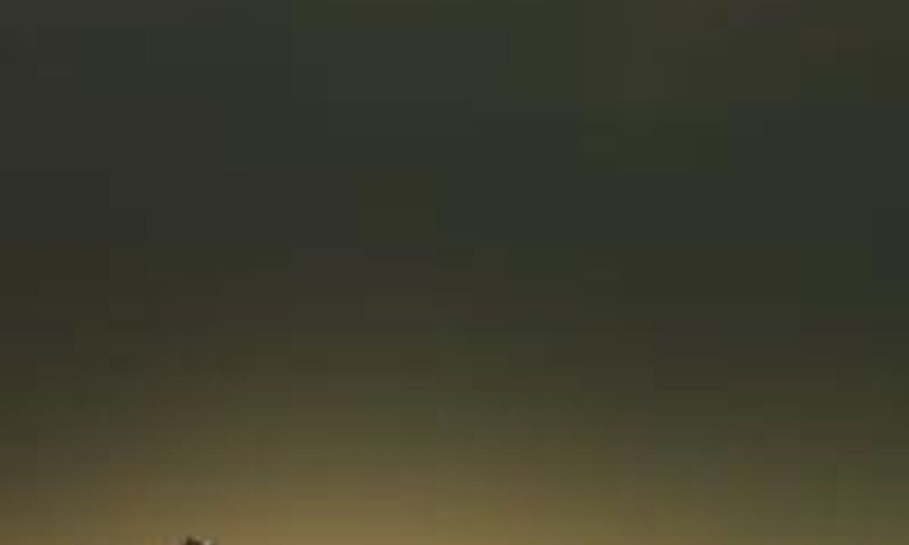 header image for Twilight