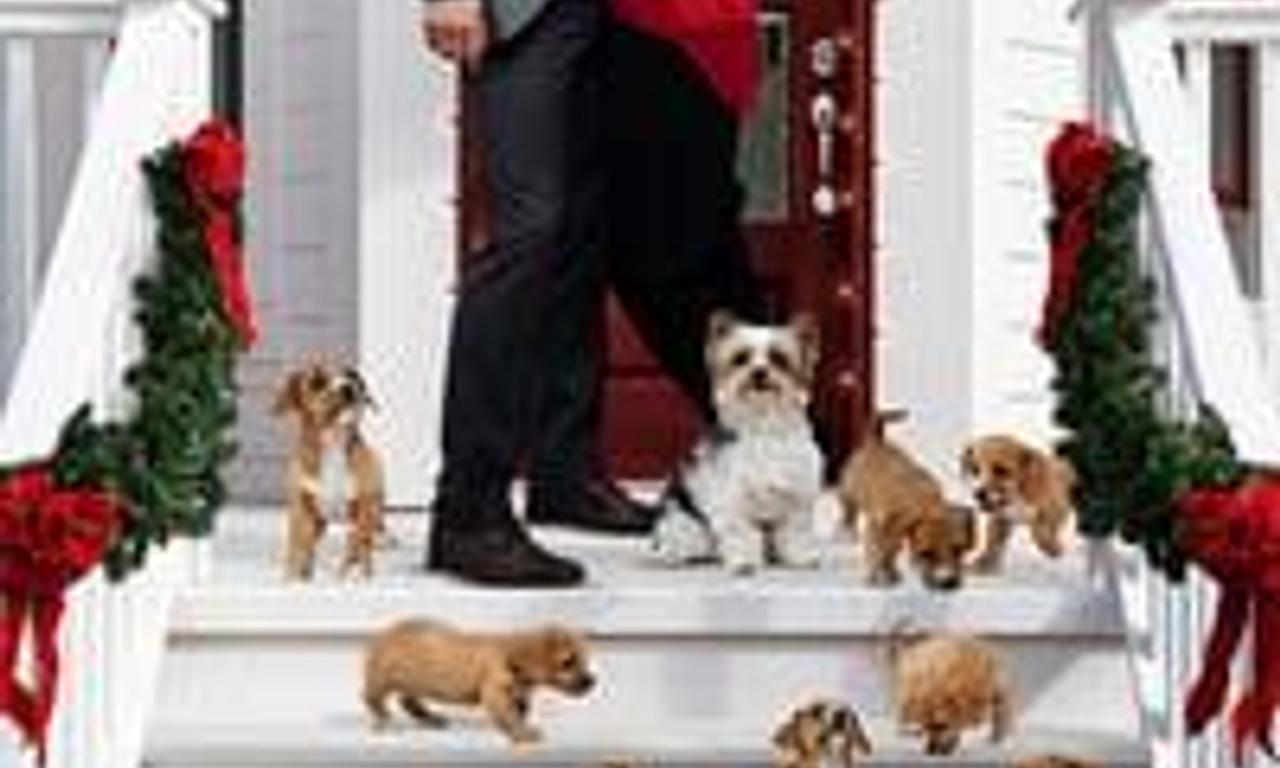 header image for 12 Pups of Christmas