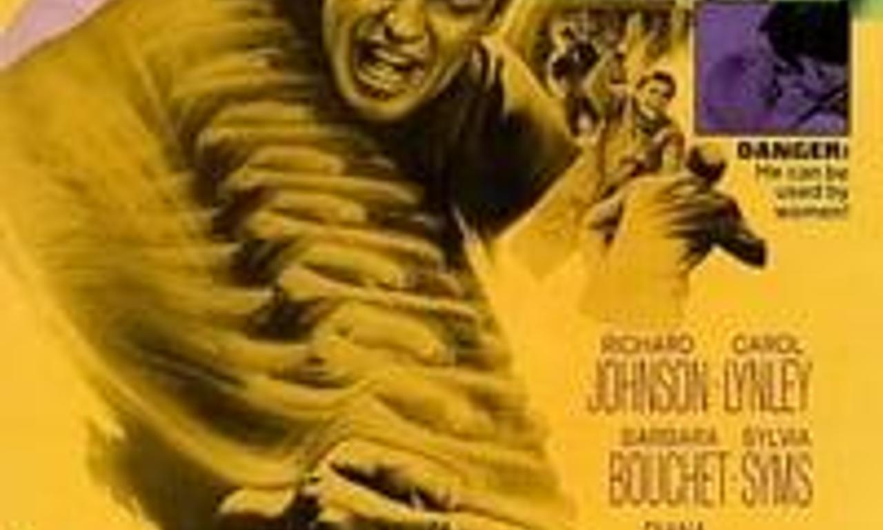 header image for Danger Route