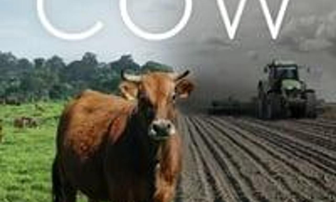 header image for Sacred Cow: The Nutritional, Environmental and Ethical Case for Better Meat