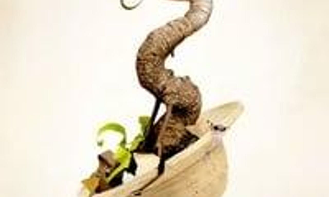 header image for One Day I Saw 10,000 Elephants