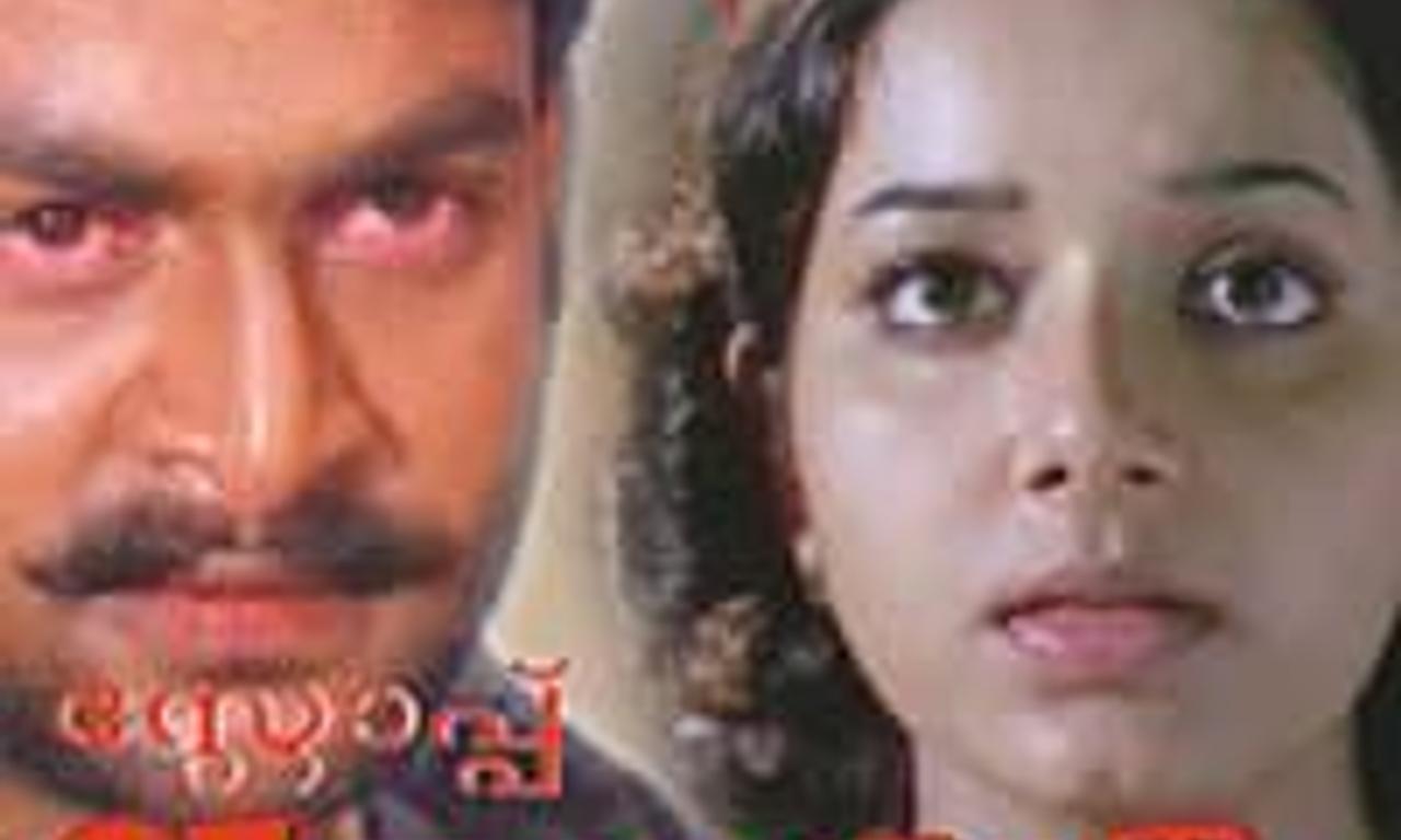 header image for Stop Violence