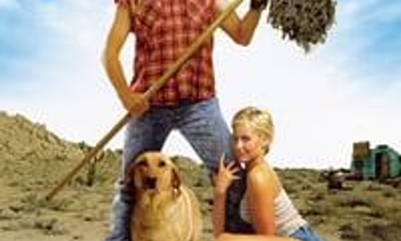 header image for Joe Dirt