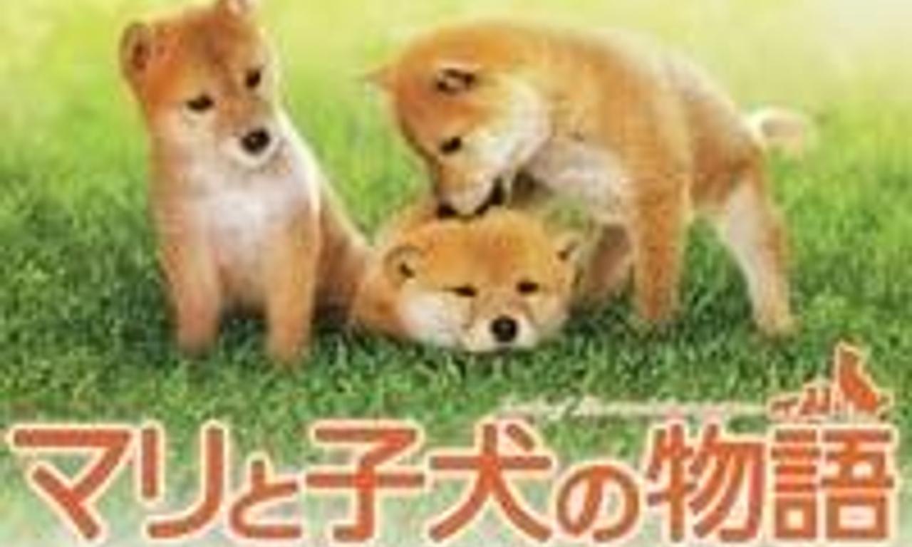 header image for A Tale of Mari and Three Puppies