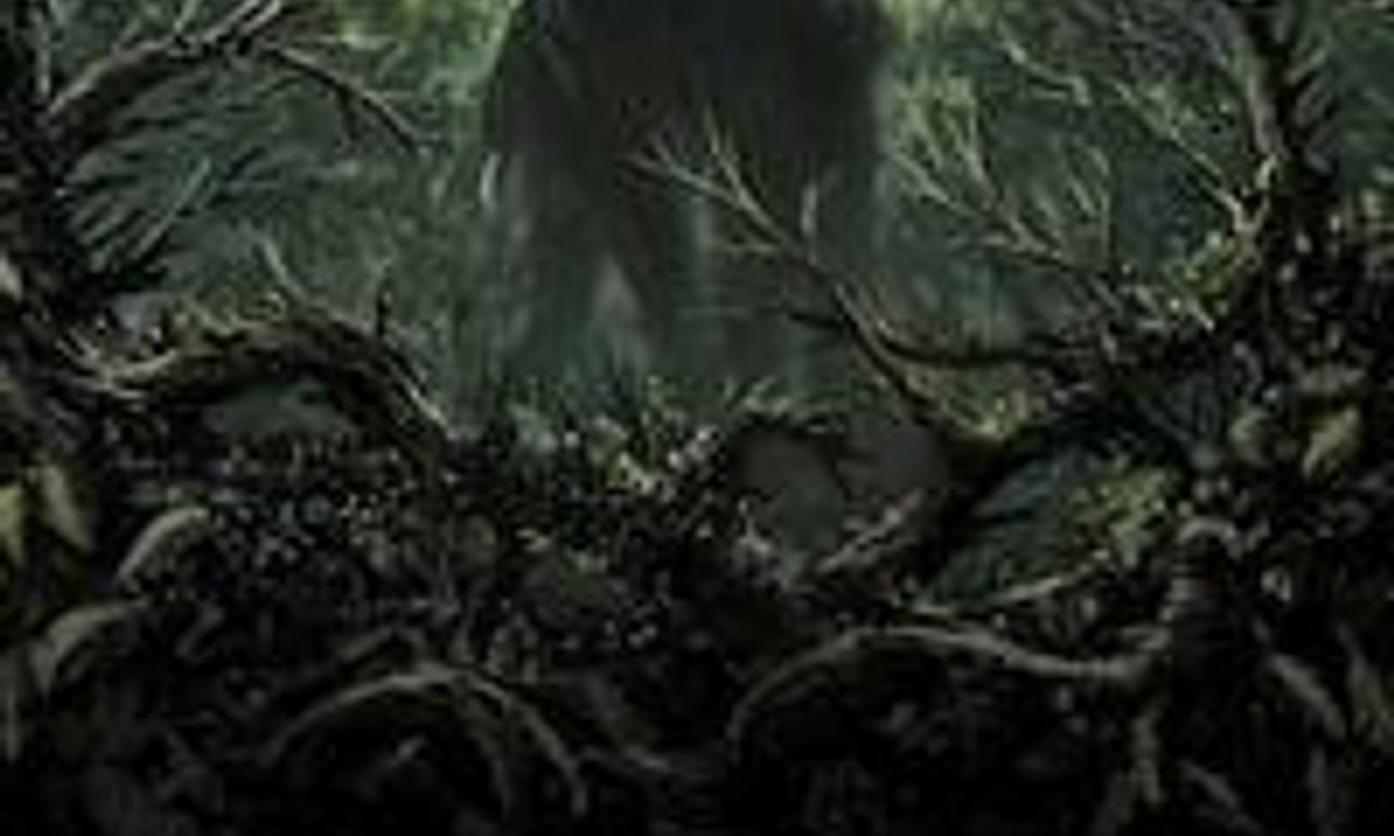 header image for Low