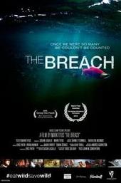 The Breach