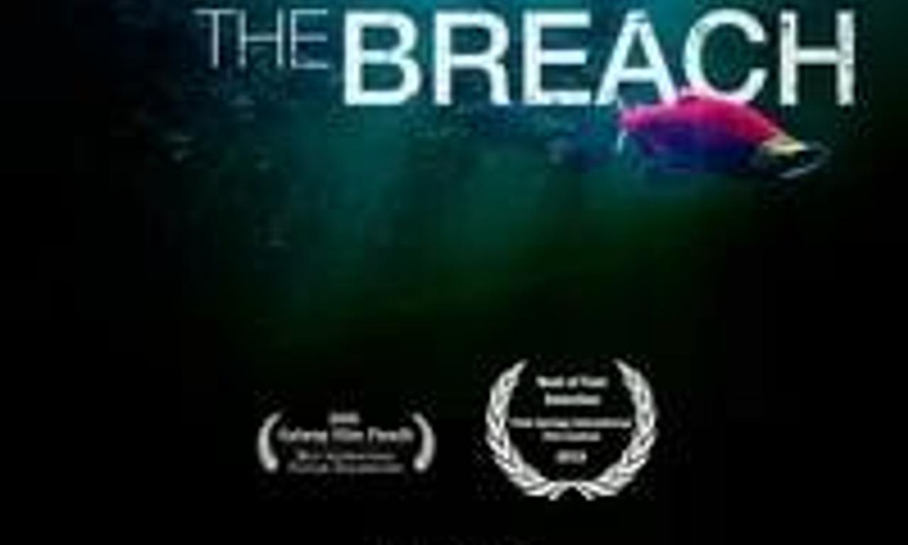 header image for The Breach