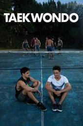 Taekwondo